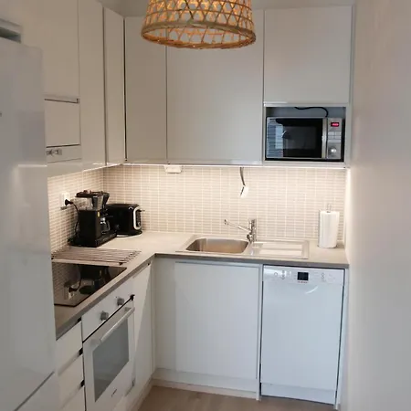Nordic With Sauna Apartment Rovaniemi